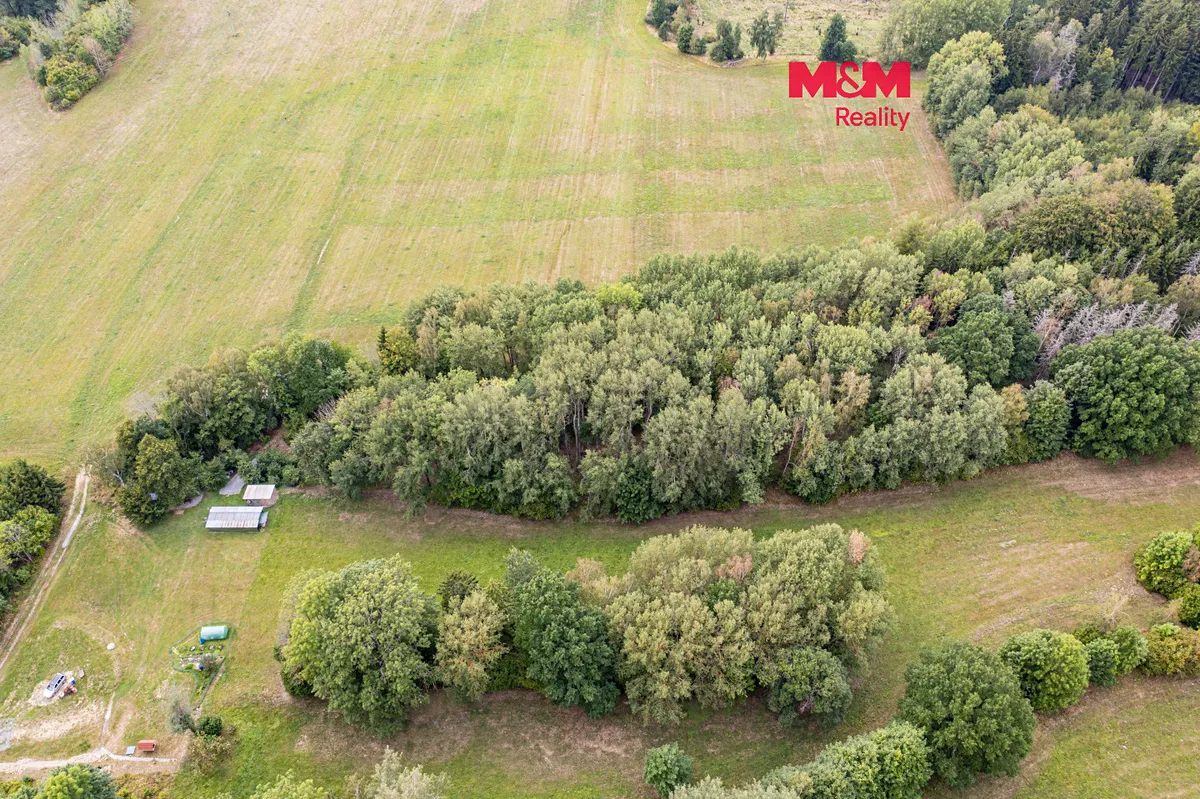 Prodej lesa 715 m²